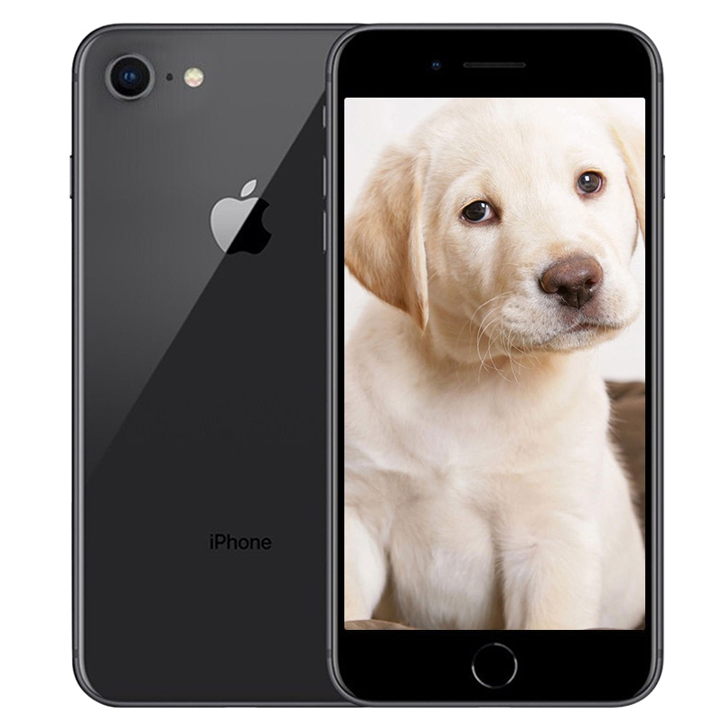 [二手9成新]Apple/苹果 iPhone 8 64GB 深空灰 二手手机 苹果8 国行正品 全网通4G手机 二手苹果
