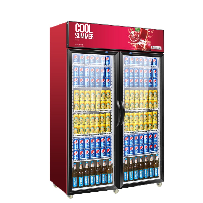 寒箭 展示柜冷藏柜立式 商用冷柜饮料柜自营商用冰箱三门双门单门立式保鲜柜便利店超市冰柜啤酒柜冷饮柜 双门直冷800L