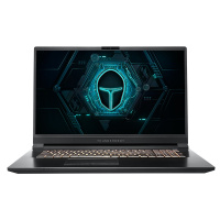 雷神(THUNDEROBOT)G6000P 17.3英寸全面屏发烧游戏本笔记本电脑(桌面级I5-8400 8GB GTX1050 1TB+256GB IPS屏72%)