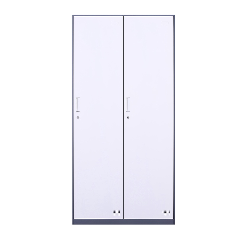 苏美特更衣柜员工柜储物柜铁皮柜存包柜鞋柜碗柜灰白二门更衣柜