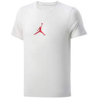 【自营】NIKE耐克男上衣运动服Jordan健身跑步透气短袖T恤CW5191
