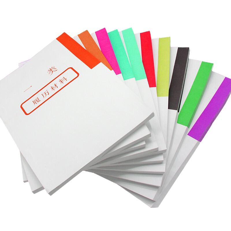 干部档案盒 人事档案盒A4 十大分类纸 分类纸 十大类纸 隔页纸 10张/套(一套装)