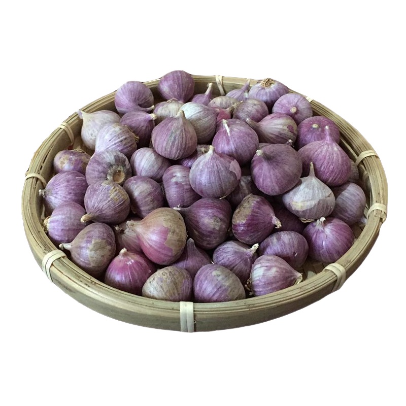 独头蒜 5斤装云南特产大理农家2..2cm干蒜头紫皮独蒜头多规格大蒜云南紫皮小独蒜大蒜独头蒜大理紫皮大蒜头干蒜新鲜独蒜头