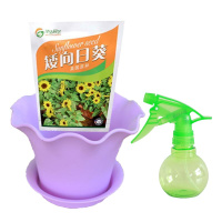 津沽园艺 矮向日葵种子种植套餐 带花盆营养土 幼儿园学生作业 春季四季一年生 养护非常容易 花盆颜色随机