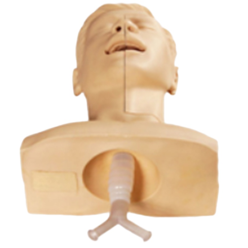 吸痰练习模型BIX-H85
