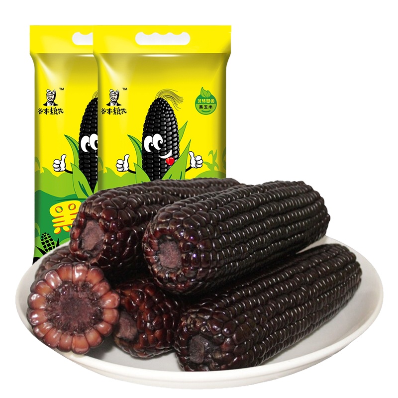 谷本粮农 黑糯小玉米14根约2.4kg 非转基因杂粮鲜食粘糯黑玉米棒