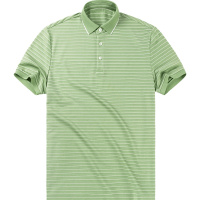 布先生夏季新款清新显瘦条纹短袖T恤 桑蚕丝POLO衫男AT10963