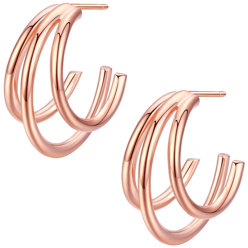 佰色传情BRIR纯银女欧美高级感气质耳环耳坠夸张个性耳钉耳饰