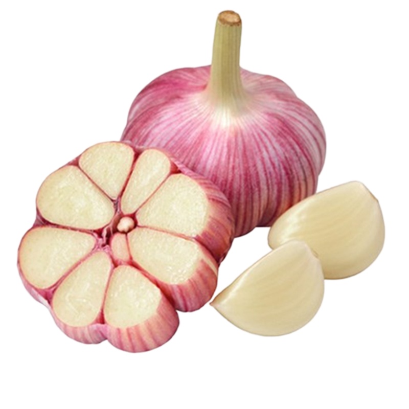 2斤中小果 河南新蒜新鲜大蒜紫皮精选10斤2斤紫皮大蒜头批发鲜蒜腌制糖醋蒜甘鲜生