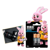 金霸王(Duracell) 5号 2粒装(计价单位:卡)