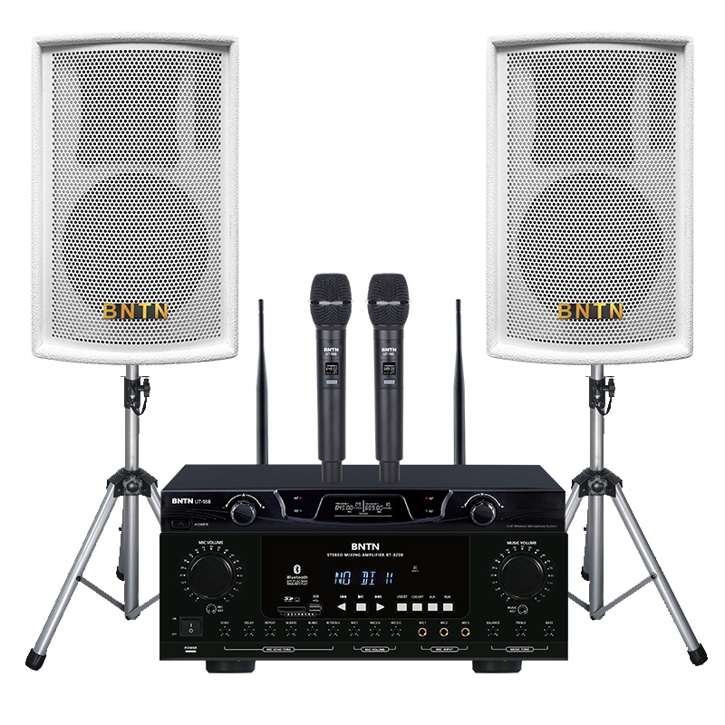 奔腾(BNTN)套装家庭影院KTV音响家用卡包功放卡拉OK无线U段话筒麦克风客厅小型唱歌k歌会议室8200配豪庭音箱白色