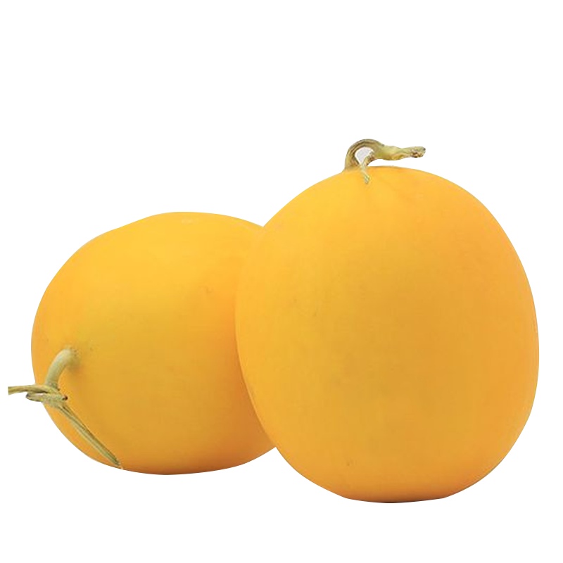 [西沛生鲜]新鲜哈密瓜 净重4.5斤 1-2个 应季水果 新鲜甜瓜 鲜果 西沛水果