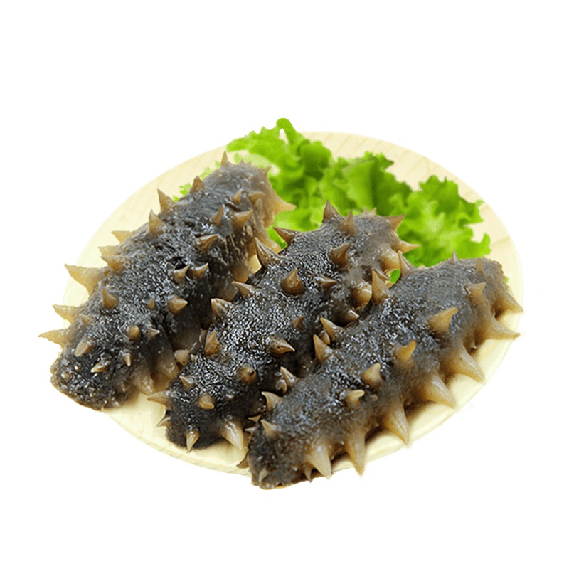 好当家即食海参500g天然有机刺参威海海鲜