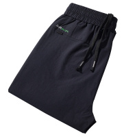 袋鼠(DAISHU)时尚百搭休闲裤DSWJBL2111