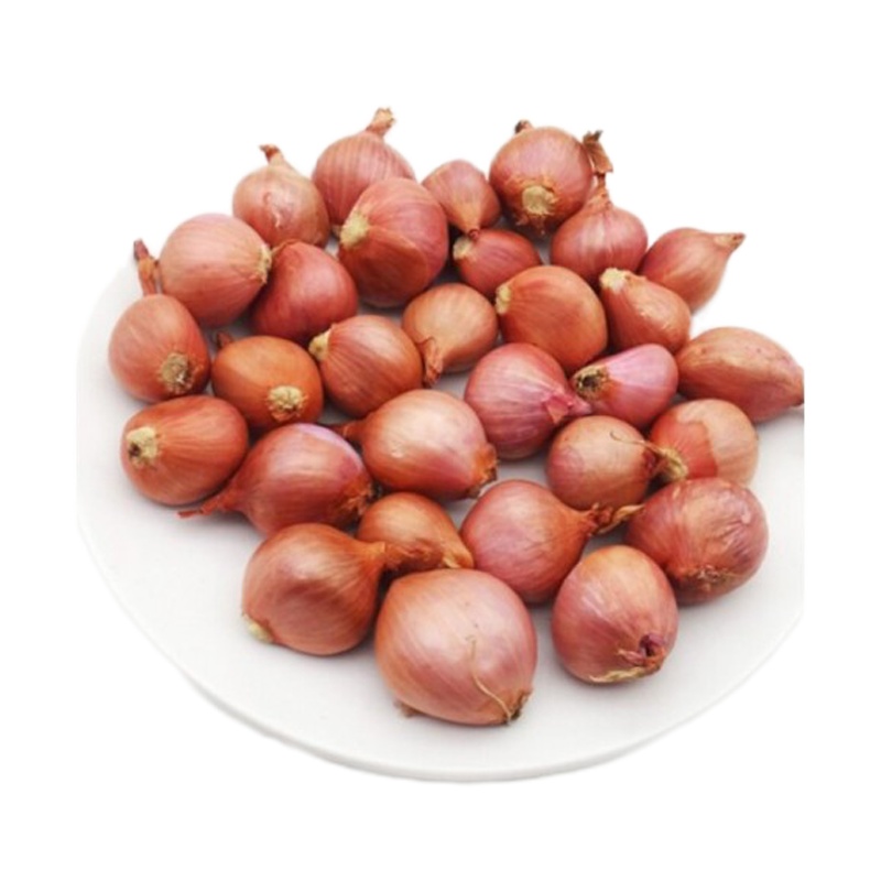 博多客东北小毛葱头2.5kg新鲜蔬菜鬼子葱珠葱小圆葱红葱头生鲜新鲜