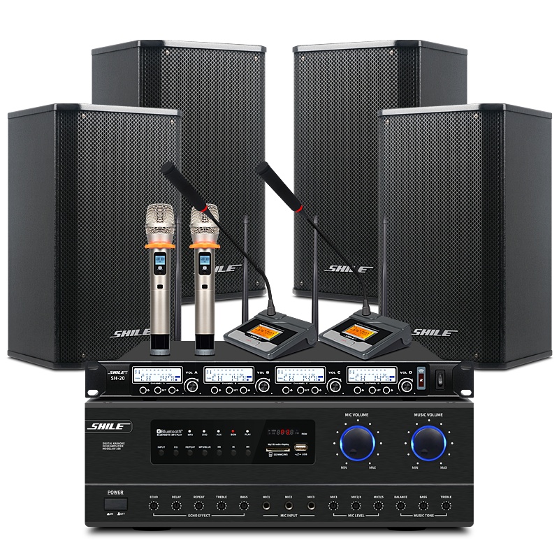 狮乐（SHILE）专业会议音响组合套装定阻式8英寸音箱可壁挂企业会议培训教室商铺背景音乐设备AV108+108+SH20