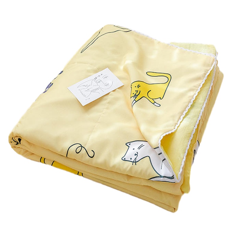 绘窝（HuiWo）家纺 空调被 小清新小花边水洗棉夏凉被单人双人春秋被可水洗机洗夏被被芯