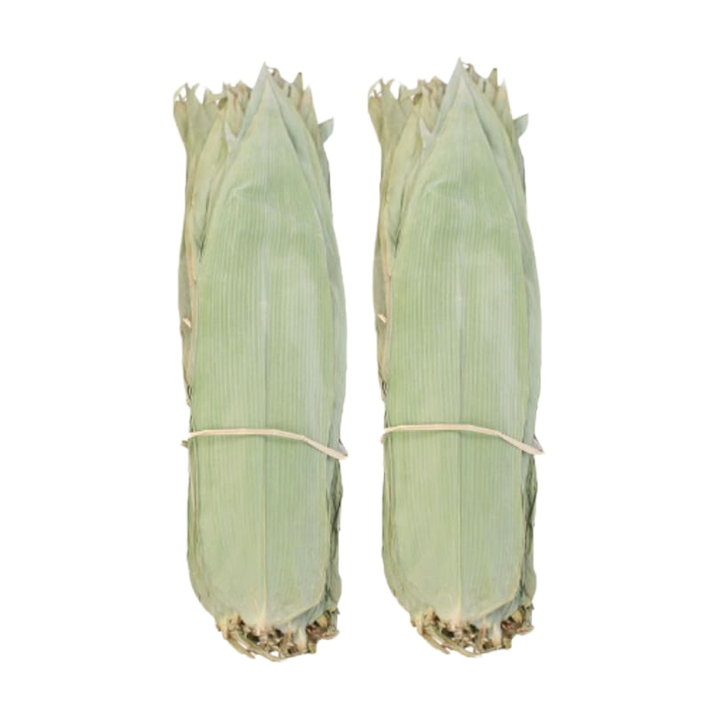 干粽叶送绳湿粽叶大粽叶新鲜鲜粽子叶烘干箬叶批发 干粽叶100片送绳[买2份发300]