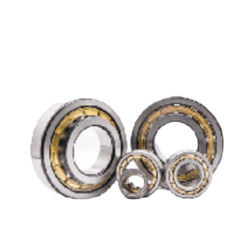 msm米思米向心短圆柱滚子轴承NJ2310EM