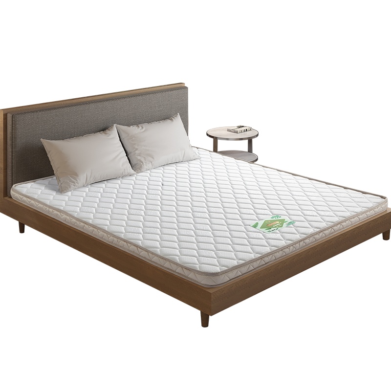 穗宝床垫5cm 3D椰棕薄垫 偏硬护脊无弹簧纯椰棕床垫南海椰歌5C(厂送发货7-21个工作日,时间咨询客服)