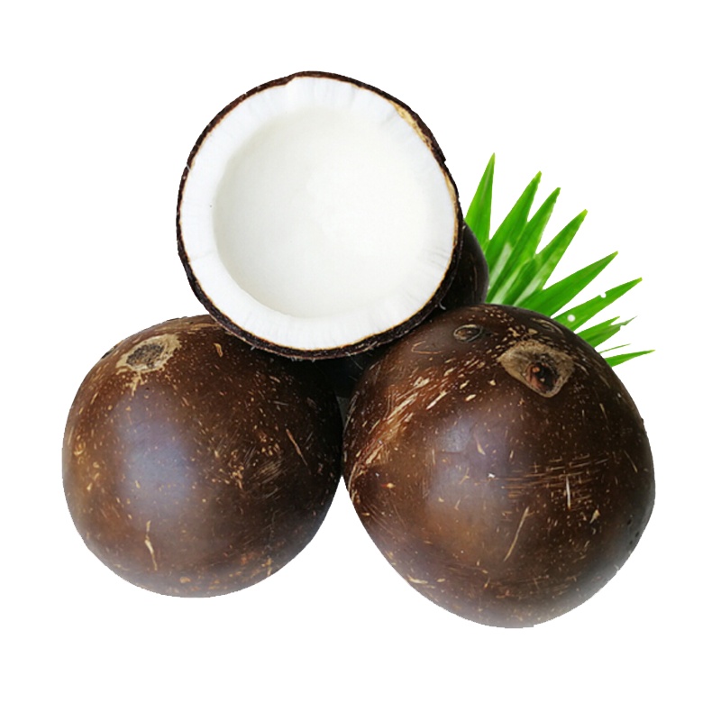 海南黑壳牛奶椰皇 椰子8枚装 时令新鲜水果 味道香甜 陈小四水果