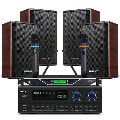 狮乐(shile)会议室音响组合套装蓝牙功放壁挂音箱无线话筒会议室背景