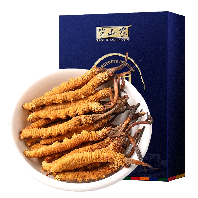 半山农 冬虫夏草 西藏那曲高海拔虫草 5条/1克