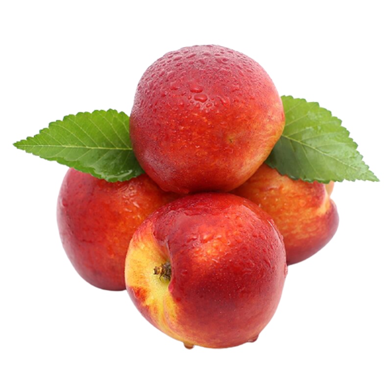 [西沛生鲜]山东蒙阴黄金油桃整箱净重3斤装 当季现摘蜜心新鲜水果