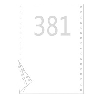 Double A旗舰打印纸381-1(1000页)