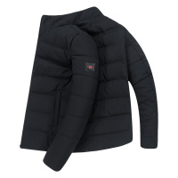 迪伽默 意大利VDG 立领短款纯色百搭休闲羽绒服 2色可选