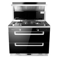 大臣集成灶JJZT-900B 天然气 集成环保灶 烟灶消一体 套餐