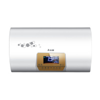 志高(CHIGO) DSZF-H19(A)智能遥控提前预约 储水式速热电热水器80L