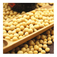 晋唐 25kg/袋 黄豆 5袋起售
