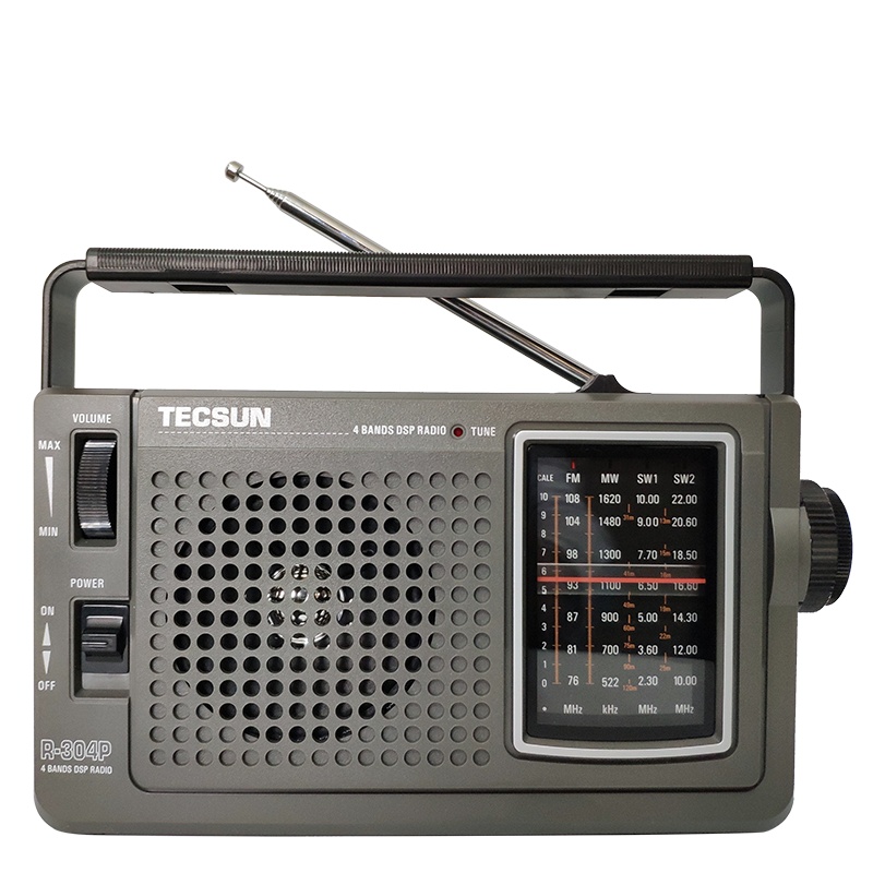 德生收音机 R-304P灰老年人便携台式 指针收音机交直流两用操作简单家用台式声音洪亮