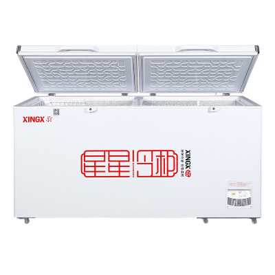 星星(XINGX)BD/BC-618G 商用卧式大冷柜 大冷冻力冰柜 断电保护 节能省电 冷藏冷冻