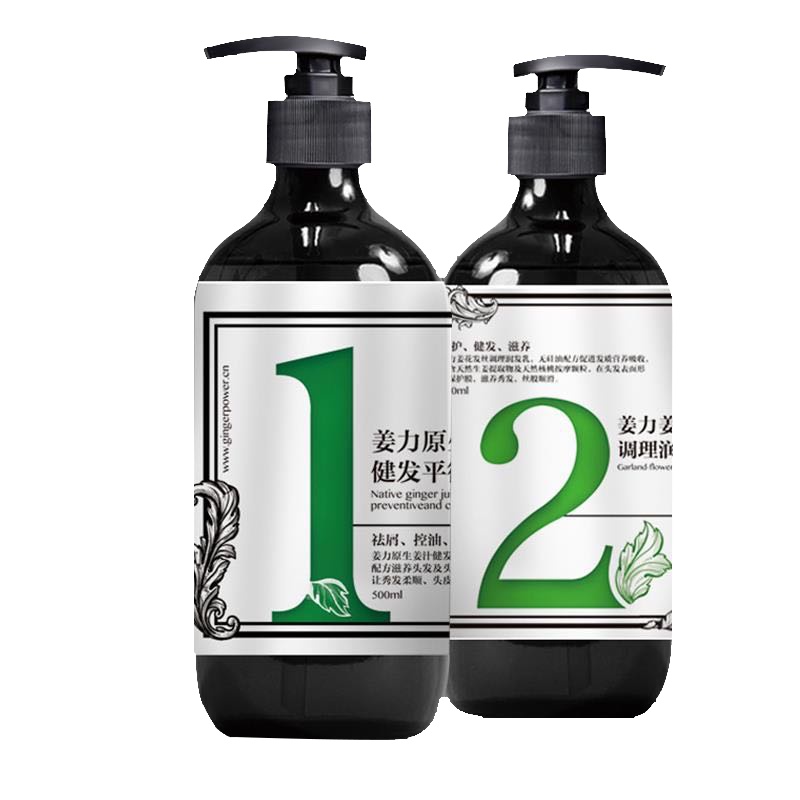 姜力原生姜汁健康平衡洗发露500ml+姜花发丝调理润发乳500m 洗护套装
