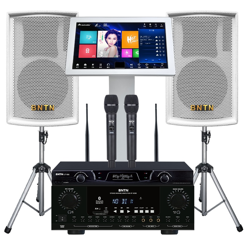 奔腾(BNTN)家庭KTV音响3TB点歌机套装家庭影院家用卡包功放卡拉OK无线U段话筒客厅唱歌k歌会议室8200配豪庭白