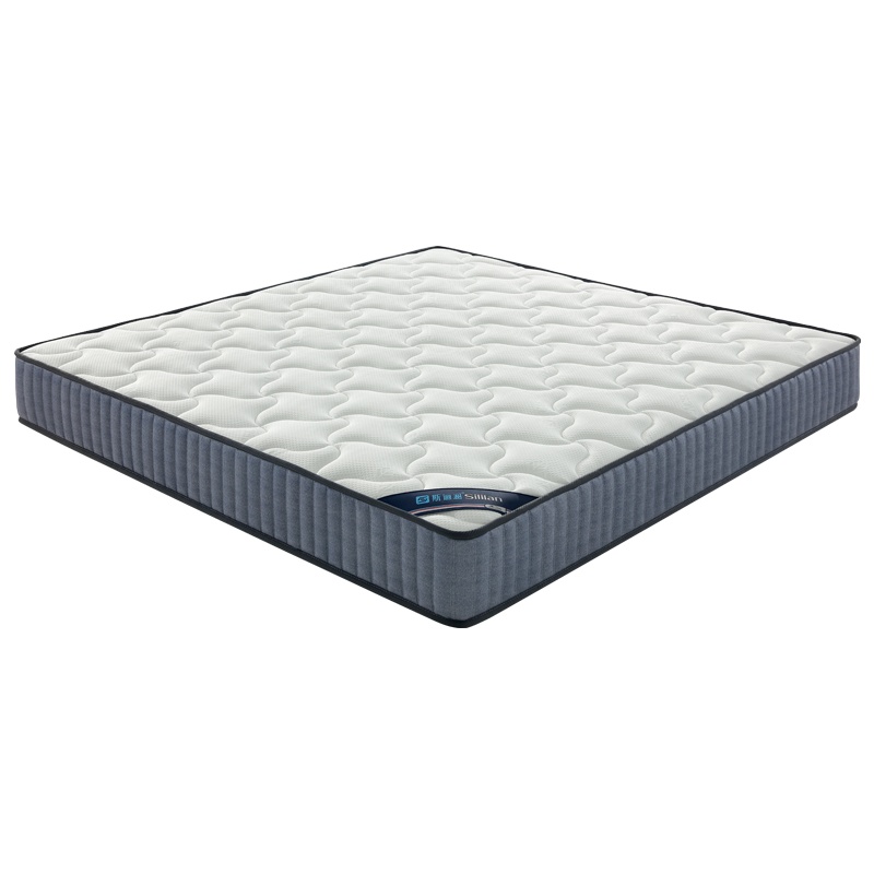 斯俪澜民用床垫乳胶床垫冬夏软硬两用床垫1.8米1.5米老人青年小孩