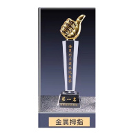 百旺 水晶奖杯 高35宽9