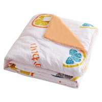 泰念Tai nian 小清新水洗棉夏被空调被子/夏季凉爽亲肤水洗棉印花夏凉被儿童宿舍学生夏季薄款单人套装