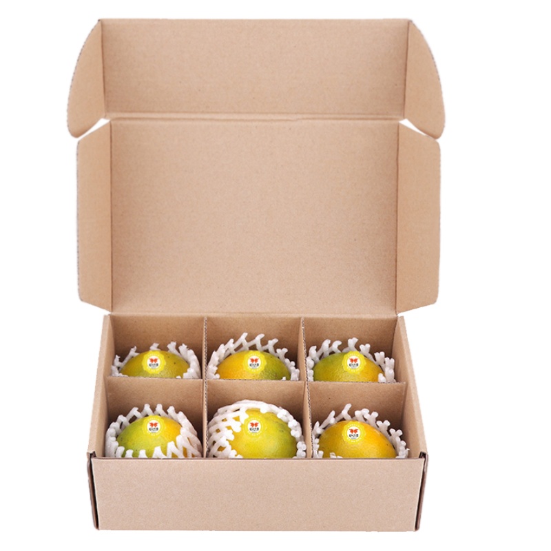 廉江虾肽红橙 6枚精选果体验装 吃海鲜长大的红江橙