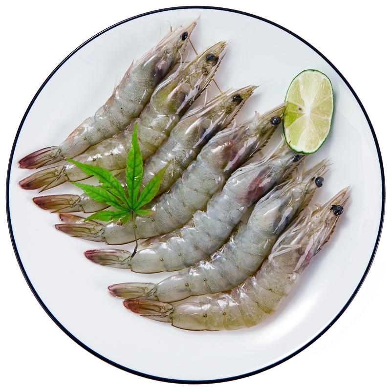 寰球渔市 厄瓜多尔白虾(活虾鲜冻)4斤/盒 90-120只 大虾 烧烤 净重1.4kg 进口 冷冻虾 海鲜水产 生鲜