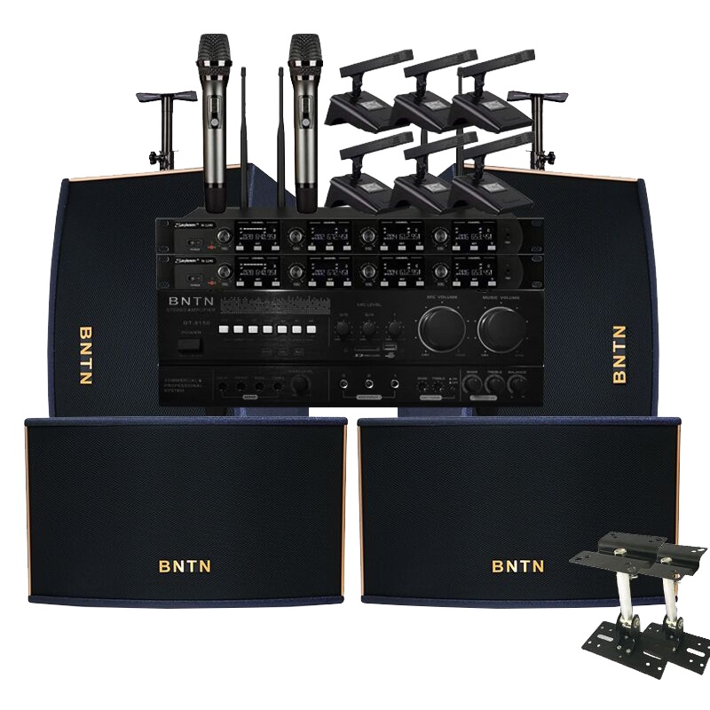 奔腾(BNTN)专业会议KTV音响全套家庭影院卡拉OK手拉手会议话筒8150配BTKT13音箱6个无线鹅颈话筒+2个手持