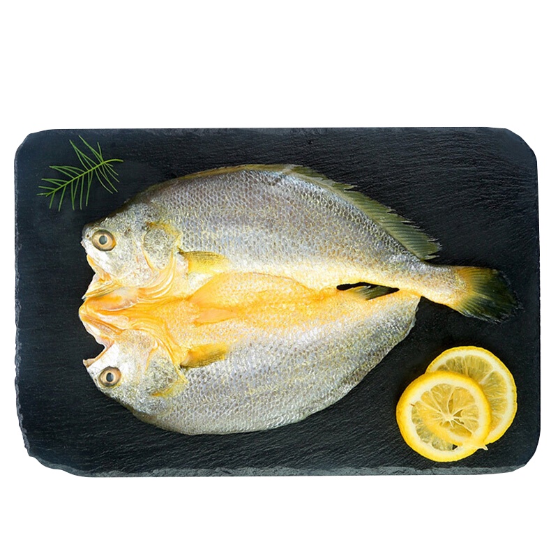 新鲜冷冻黄花鱼约1.1kg3条袋装 大个大黄鱼 海鲜水产 宴会食材 宁德黄花鱼 生鲜鱼类