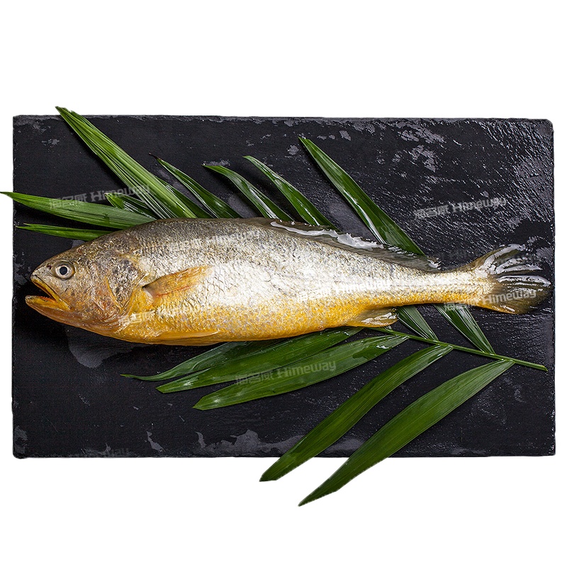 [四海生鲜] 东山岛海捕黄花鱼250-350g/条野生小黄鱼活冻无公害黄花鱼家常鱼 (500g)新鲜海鲜水产