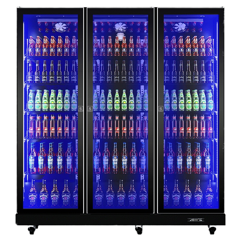 星星(XINGX)1420L 商用展示柜 啤酒柜 推拉门 酒吧超市饮料柜 多门展示柜 IVGC-3D-6520W