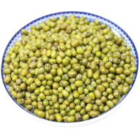 广西农垦 绿豆 500克/袋