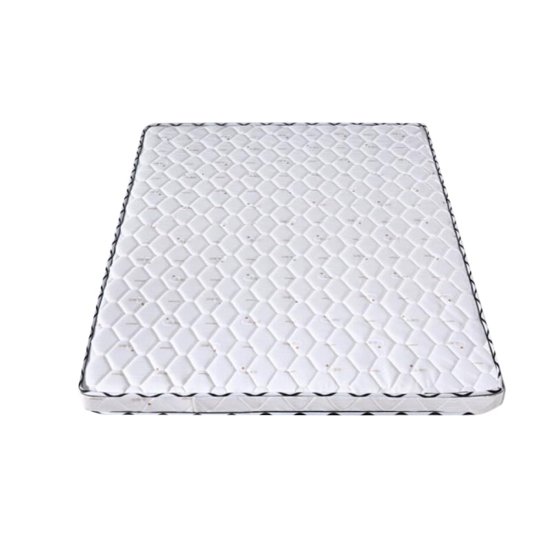 隆博盛景 棕垫床垫1m