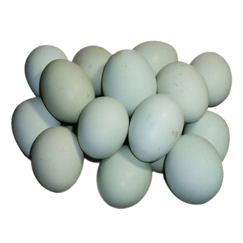 [中华特色]徐州馆 新鲜农家绿壳土鸡蛋10枚 乌鸡蛋草鸡蛋笨鸡蛋 非鹌鹑蛋鸭蛋鹅蛋