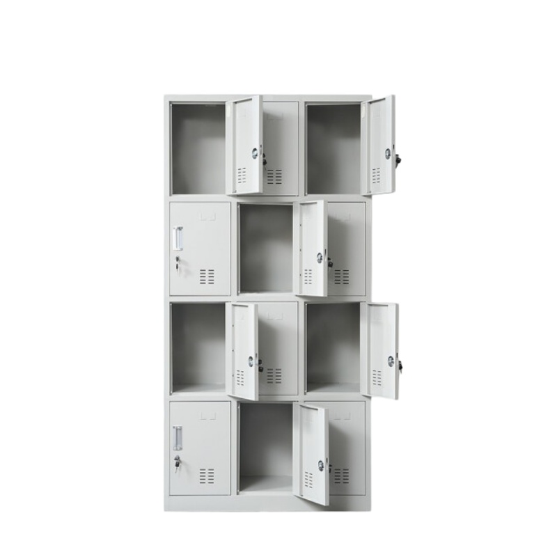 立天世纪12门储物柜 LT-TG-28 台